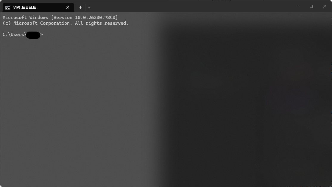 명령 프롬포트